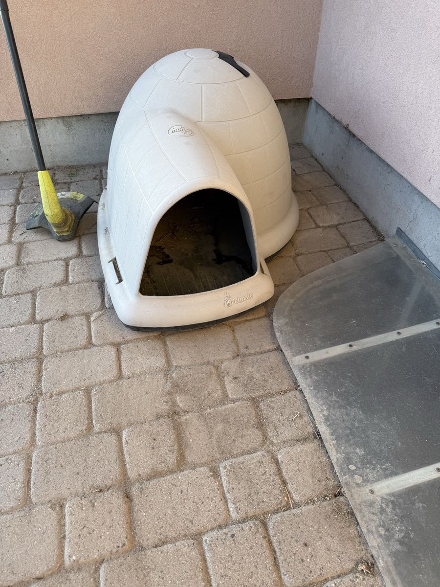Petmate Indigo Igloo Plastic Dog House - Heavy Duty Outdoor Shelter