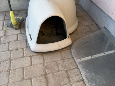 Petmate Indigo Igloo Plastic Dog House - Heavy Duty Outdoor Shelter