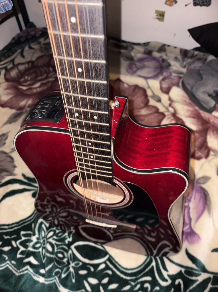 Takamine 12 String