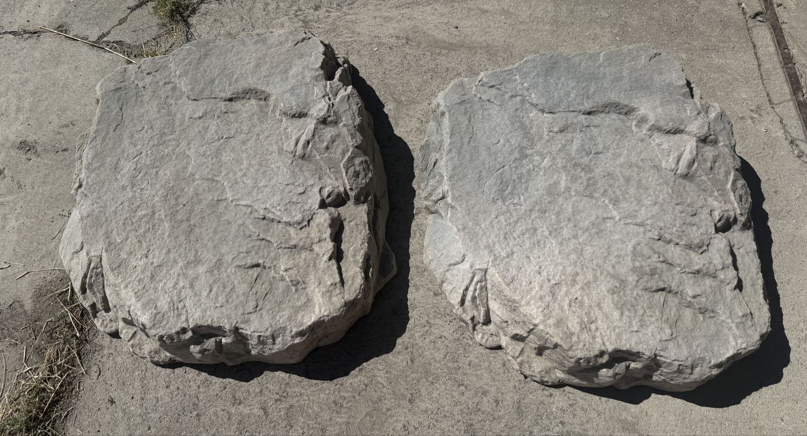 Brute Technologies Show Rock Ramp pair 