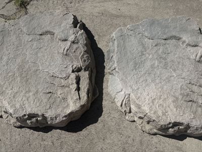 Brute Technologies Show Rock Ramp pair