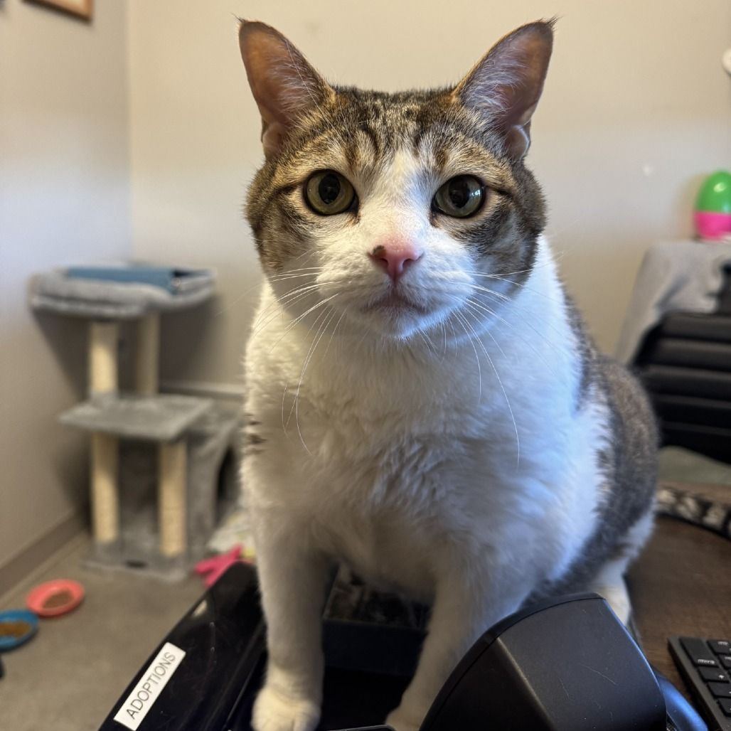 Hello my name is Tammy