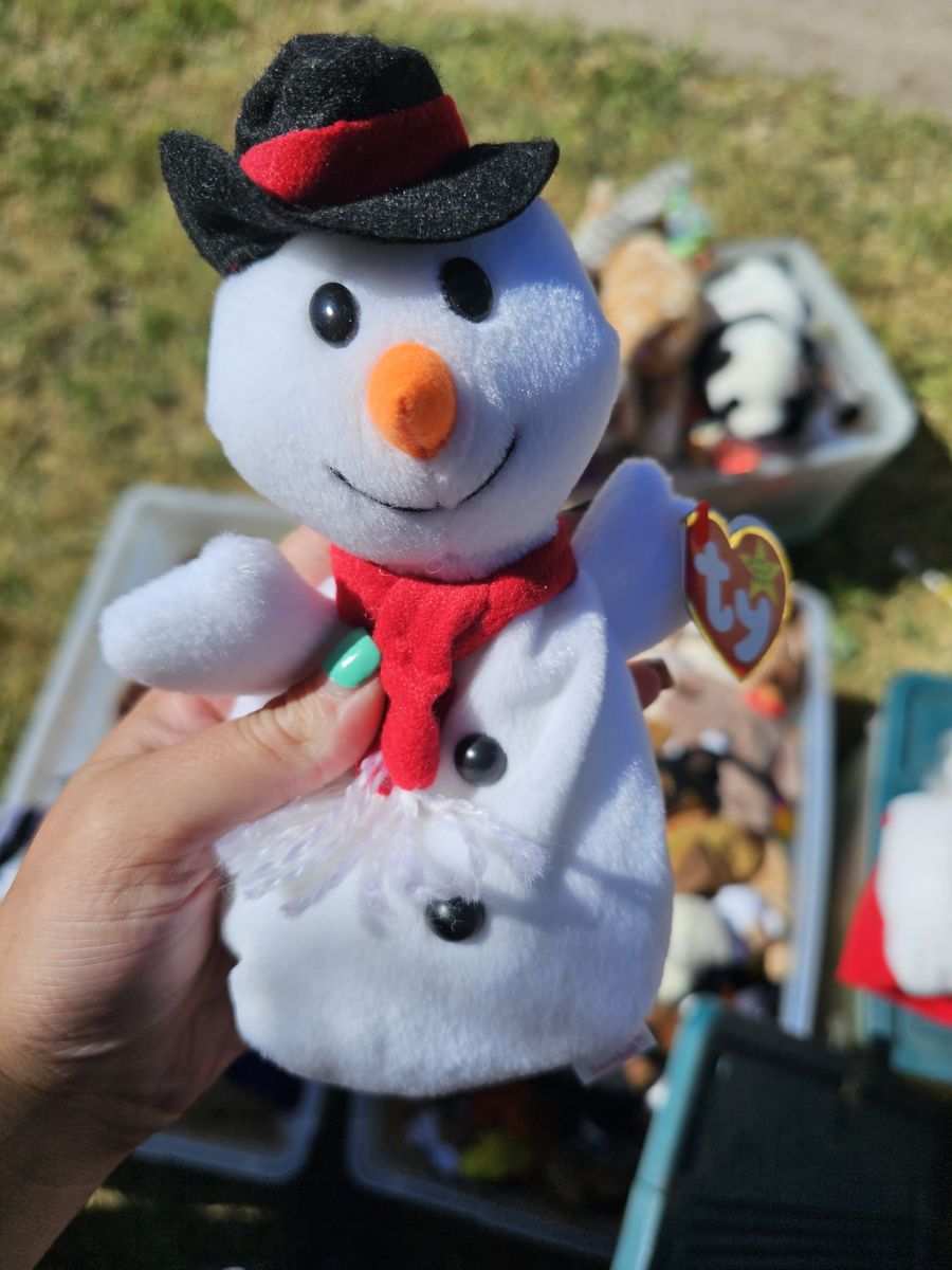 Beanie Babies