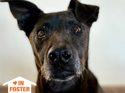 Hello my name is Winter