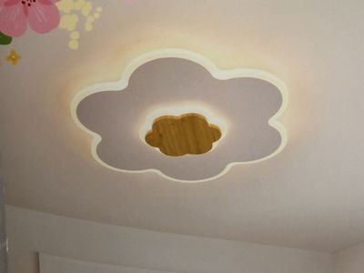 New Open Box TRUWELLA LED Ceiling Light – Kids Room/Nursery