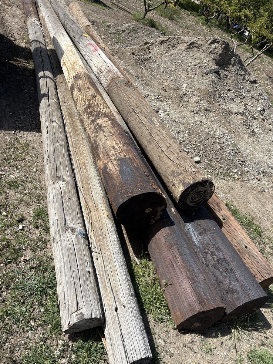 Telephone Poles