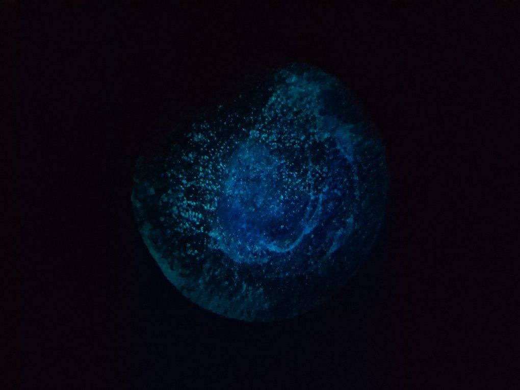 Main image 4