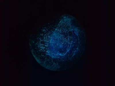Glow Jelly Fish Paperweight