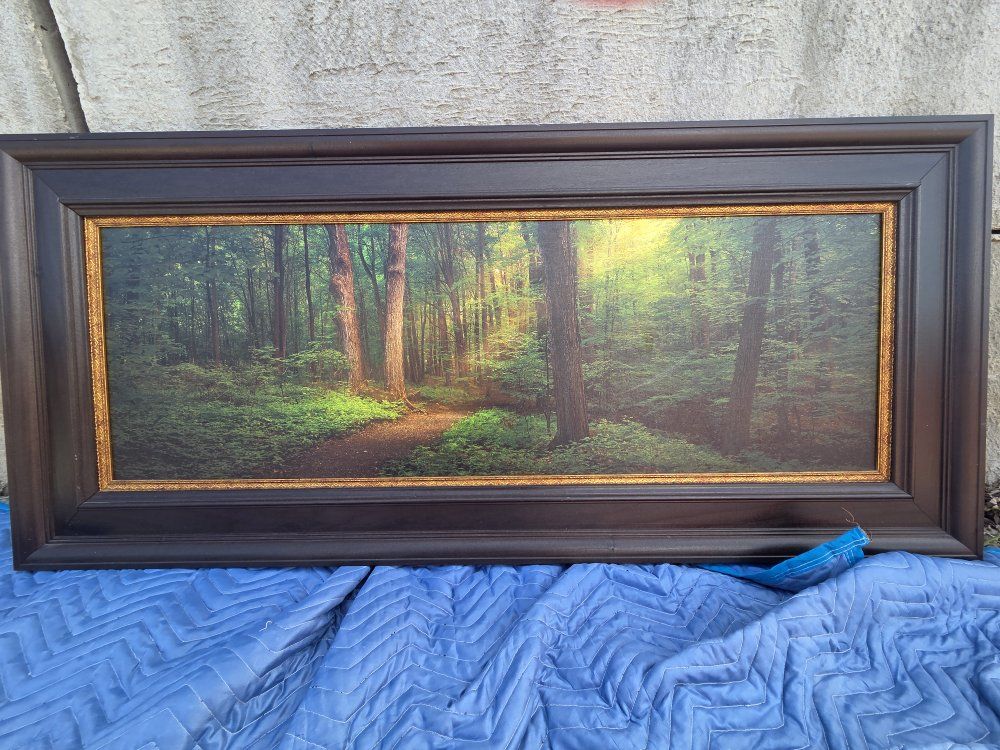 Beautiful "A Walk in the Woods II" Framed Print