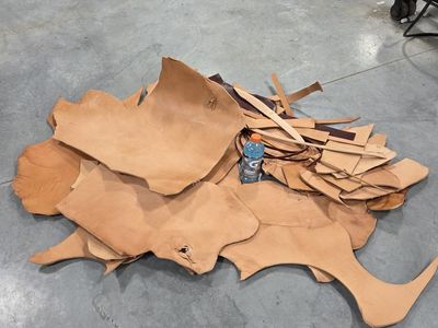 Leather Scraps