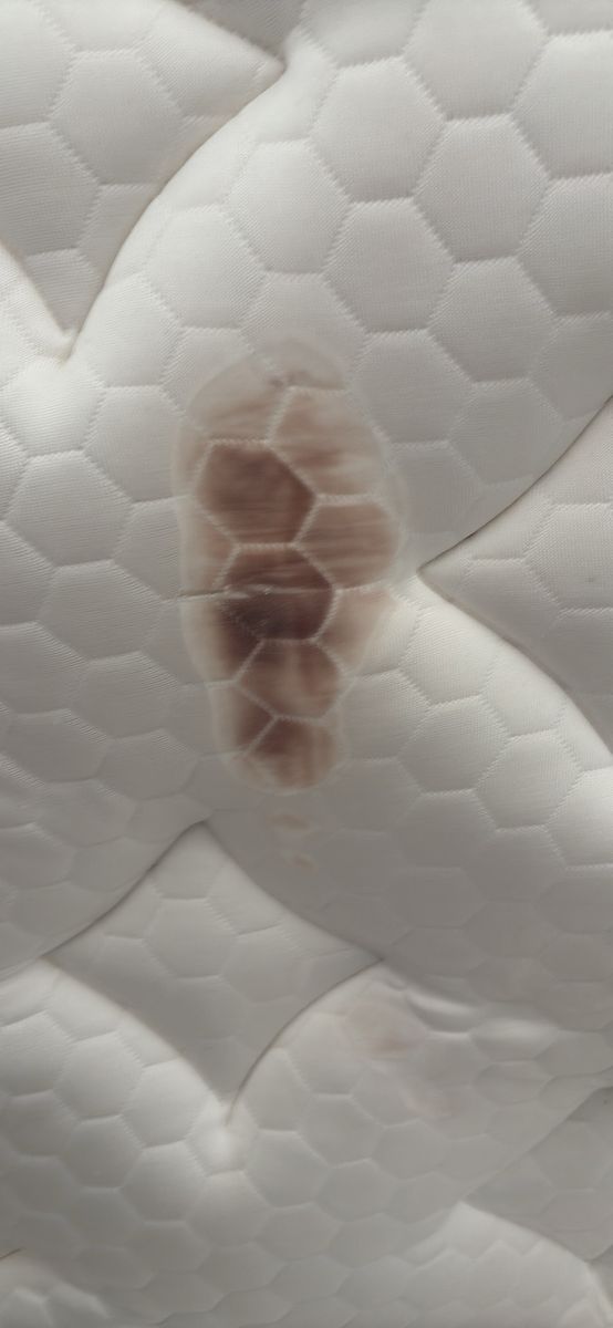 Main image 3