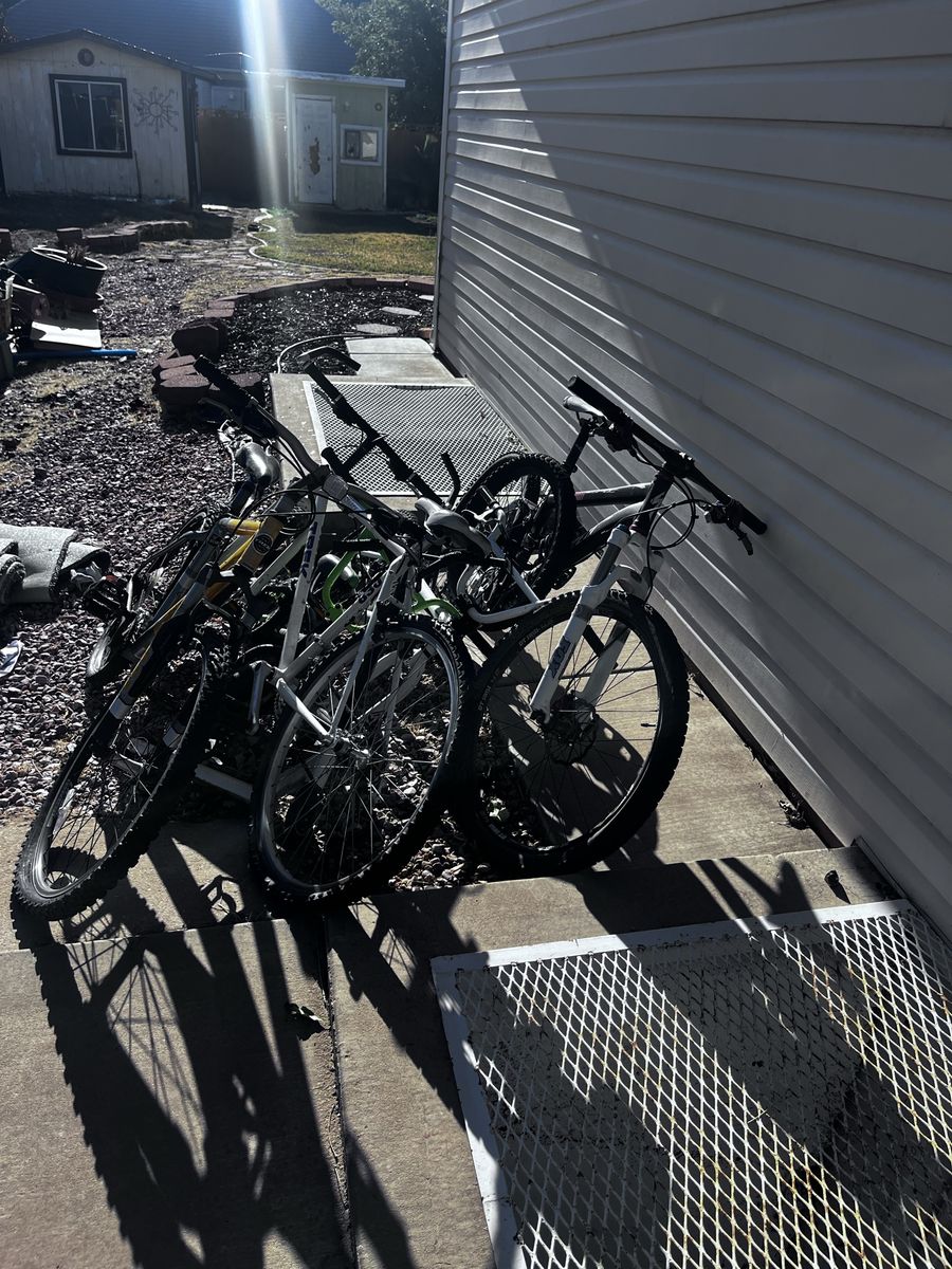 Bikes 10 bucks each