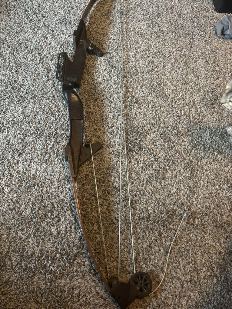 Bear Brand Bow In Great Condition