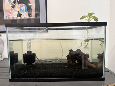 10 Gallon Tank + Accessories