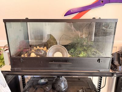 50 Gal Reptile Enclosure