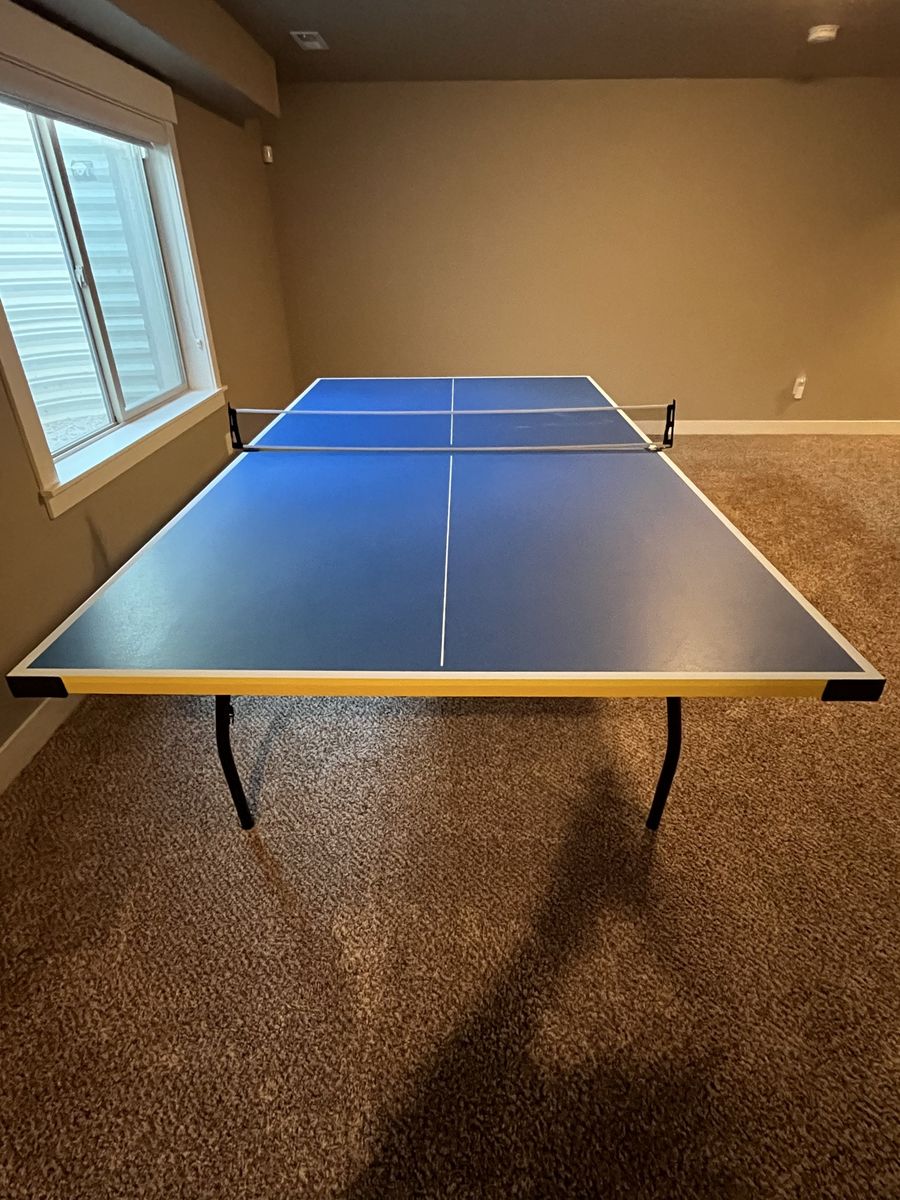 Ping Pong Table