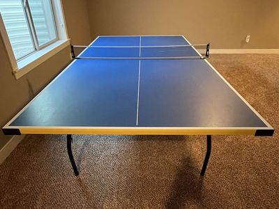 Ping Pong Table