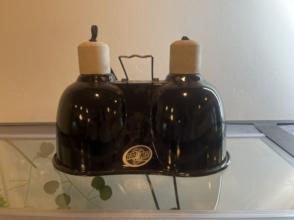 Reptile Heating Lamps + bulbs