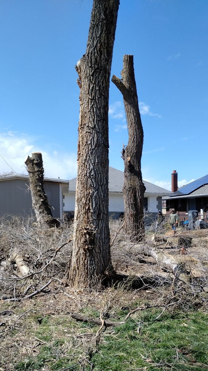 Main image 6