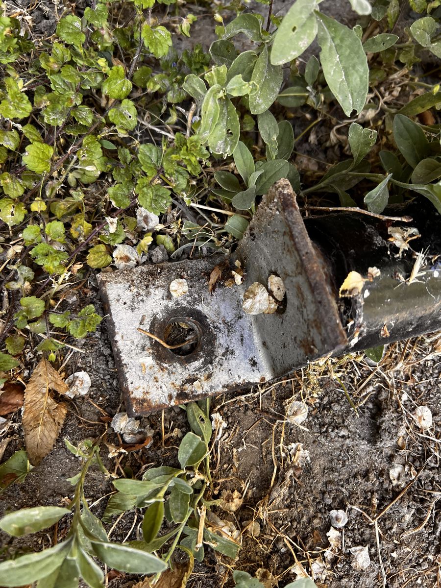 Main image 5