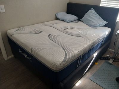 Queen Size Mattress with bedframe