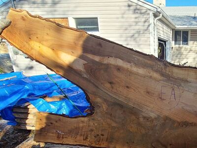 Silver Maple Slabs Pile 8-EA-EG, $10 board foot