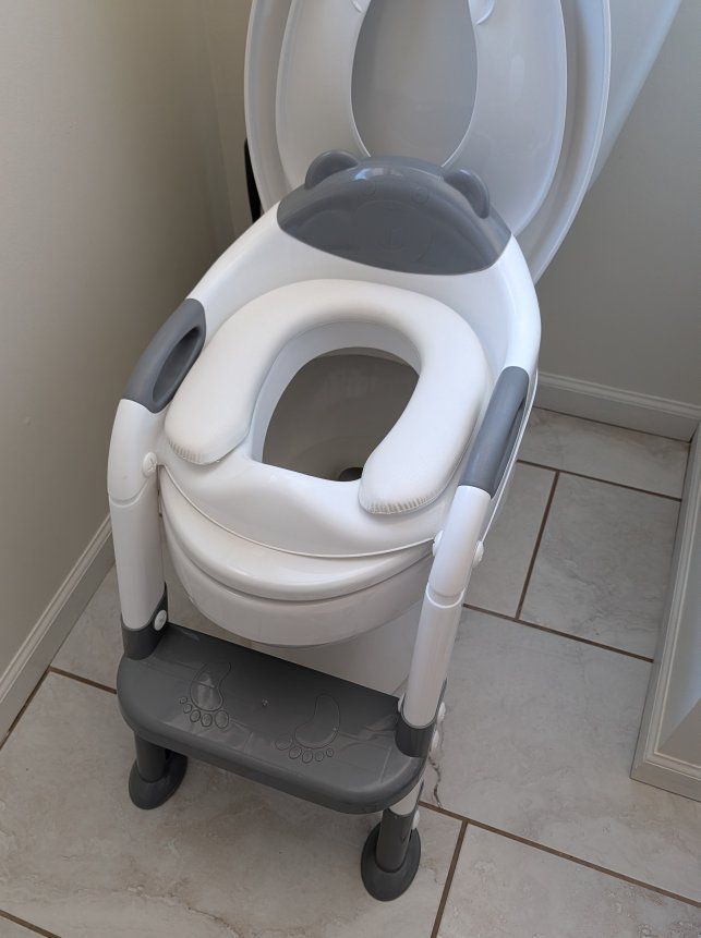 toddler potty training toilet seat