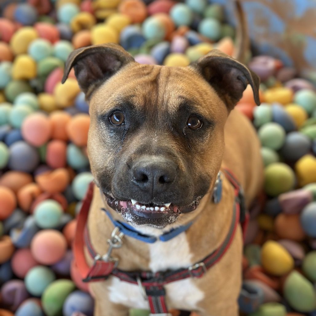 Hello my name is Nigel