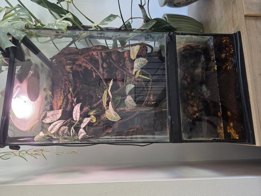 Paludarium