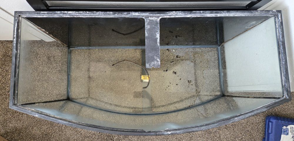 55 Gal Bow Front Tank