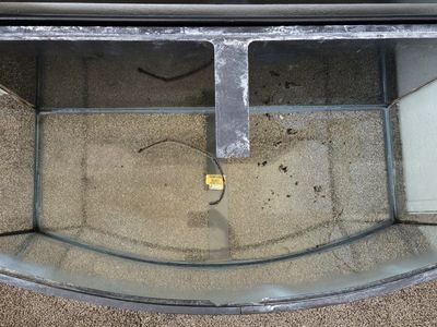 55 Gal Bow Front Tank
