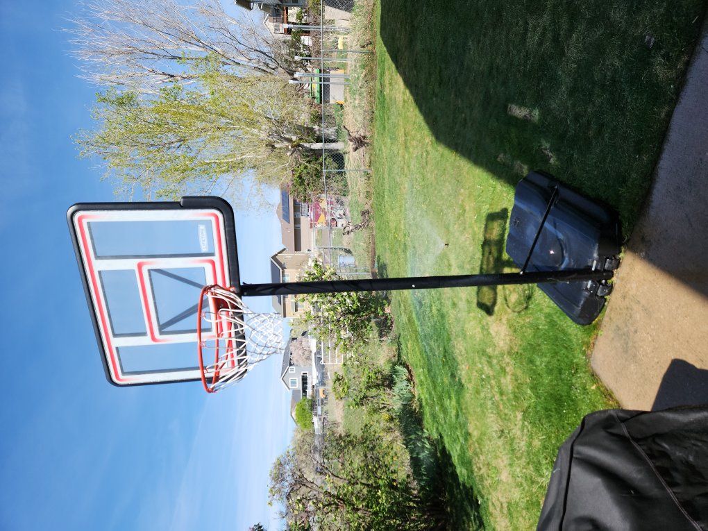 lifetime basketball hoop