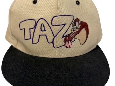 Vintage 94 Looney Toons Taz Snapback - YOUTH