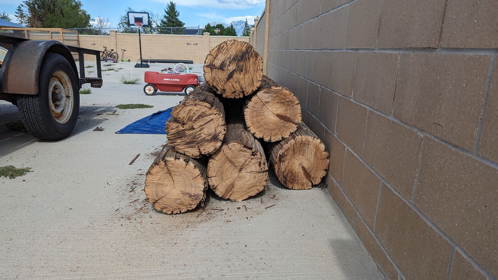 Telephone Pole Sections - Heavy Duty Wood