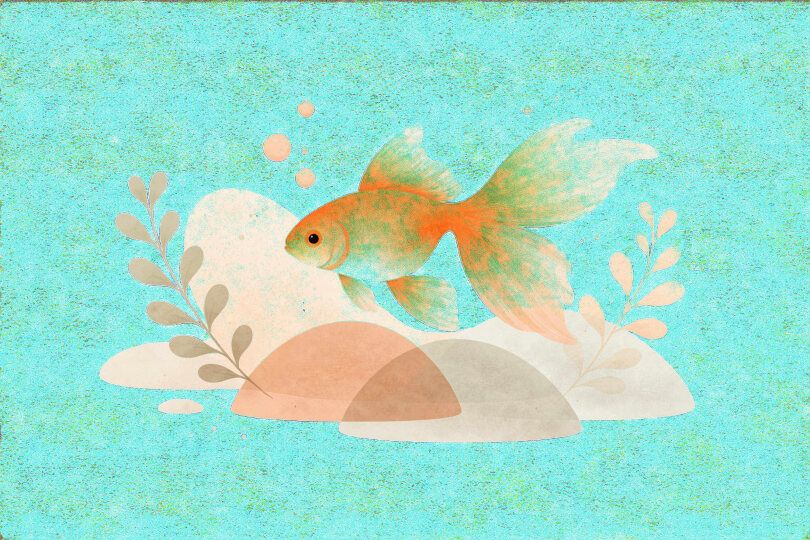 Test ratings for user A - listing 1