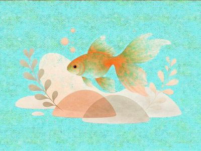 Test ratings for user A - listing 1