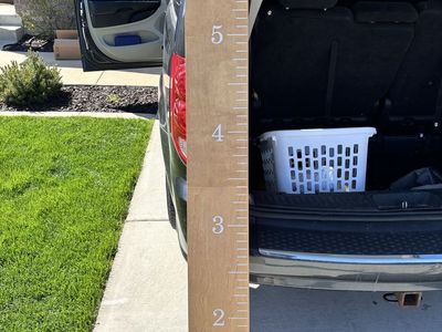 Growth chart wood