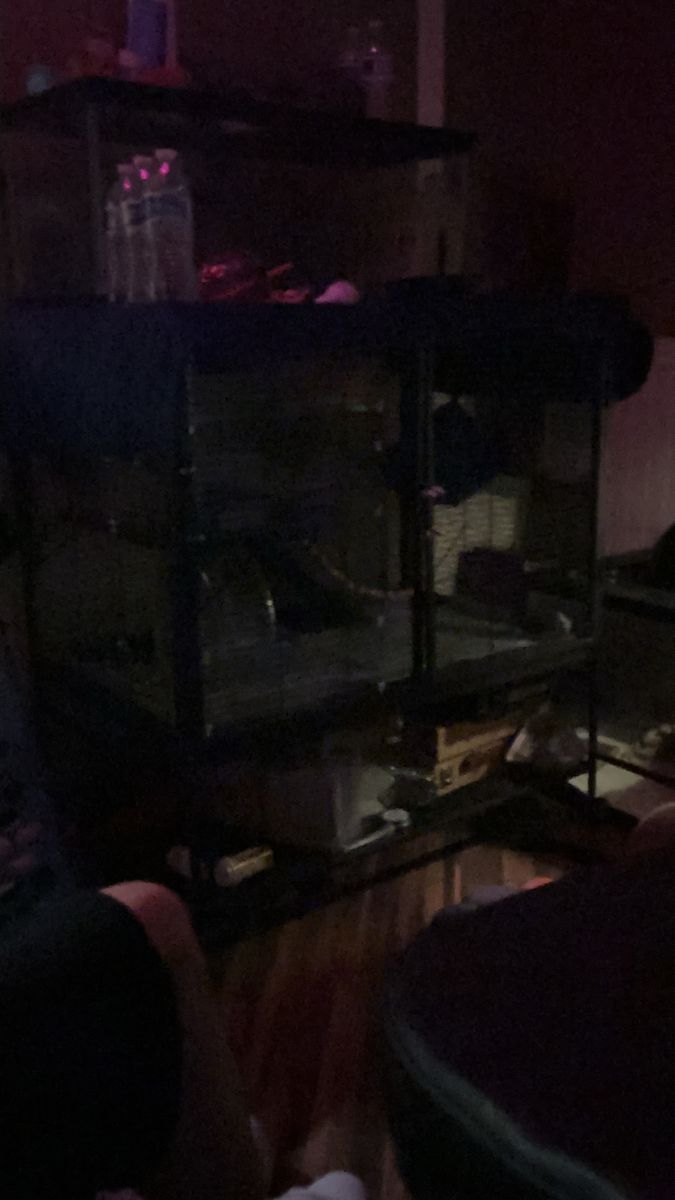 Hamster cage