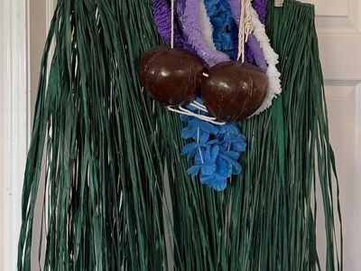 Full Hawaiian Luau Costume Set - Grass Skirt, Coconut Bra, & Leis