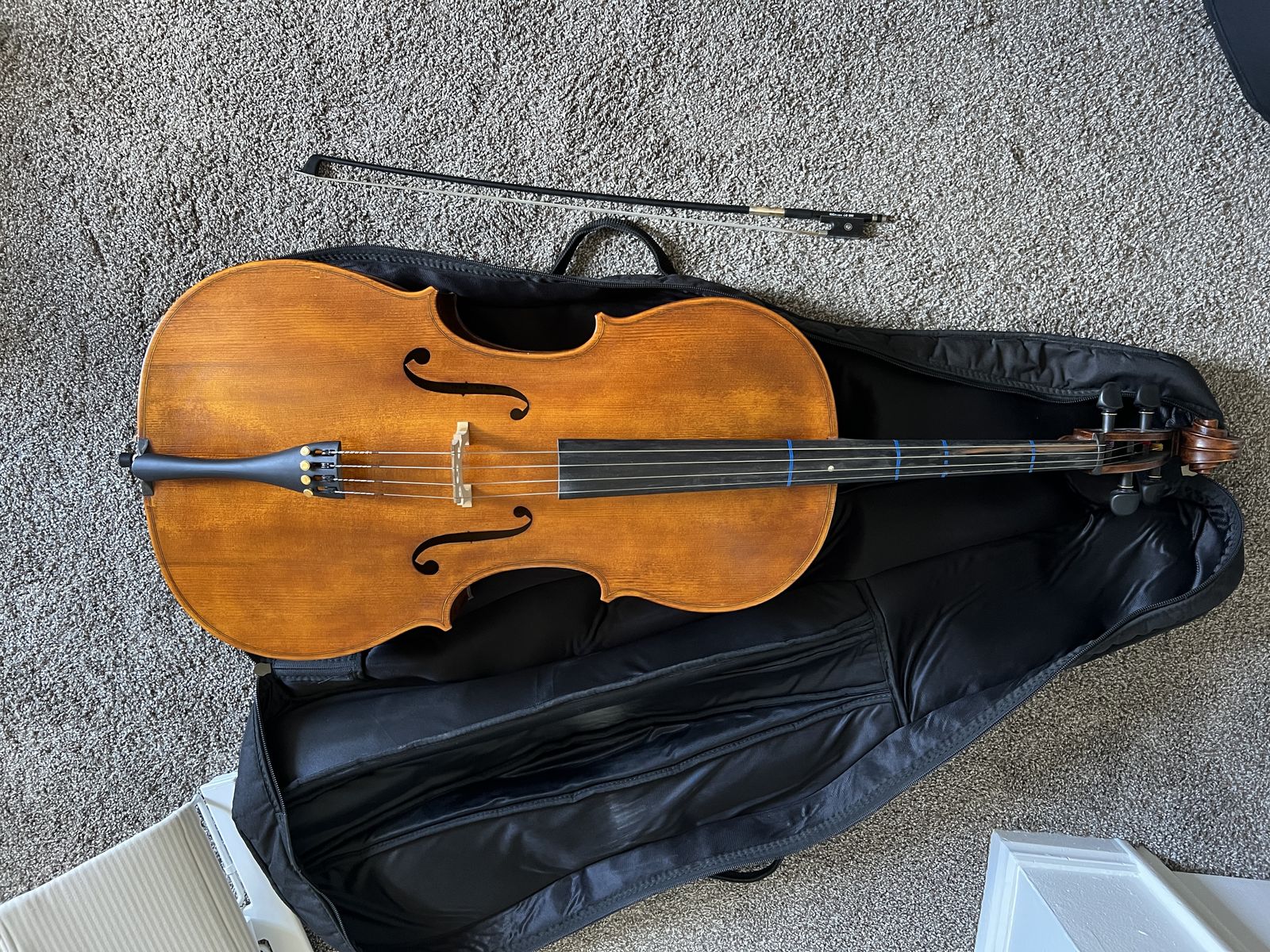 Samuel Shen SC100 4/4 Cello