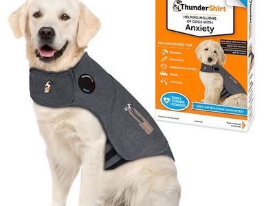 ThunderShirt for Dogs, X Large, Heather Gray Classic - Dog Anxiety Relief Calming Vest retails for $55