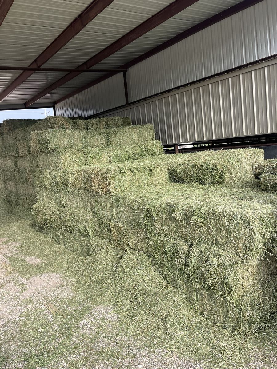 Alfalfa Grass Hay