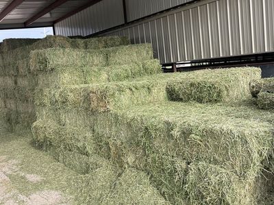 Alfalfa Grass Hay