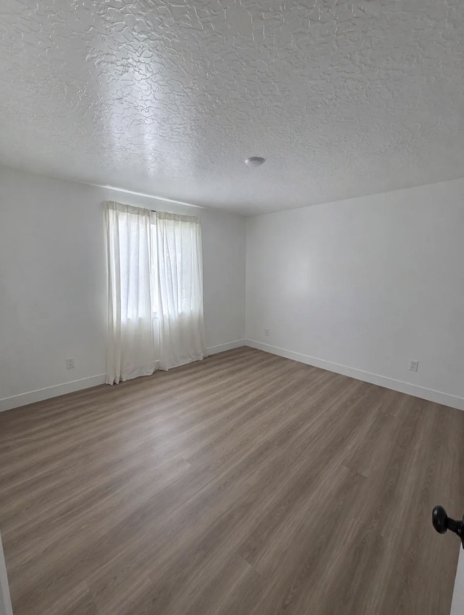 Main image 7