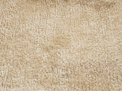 Cream Shag Area Rug - Approx. 5x7 ft