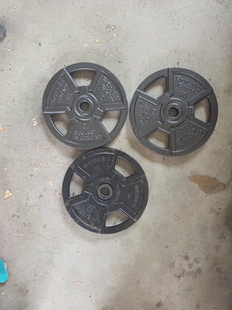 Gold's Gym and Weider 10 lb Cast Iron Weight Plates Set of 3