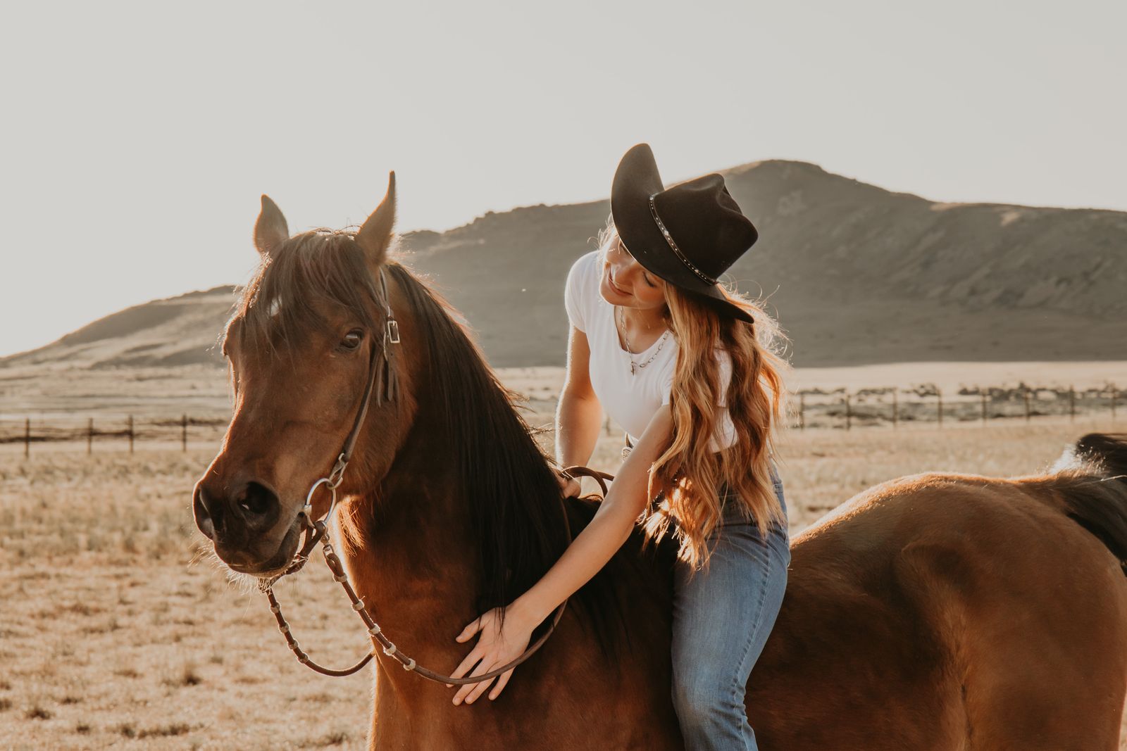 Gelding Horse