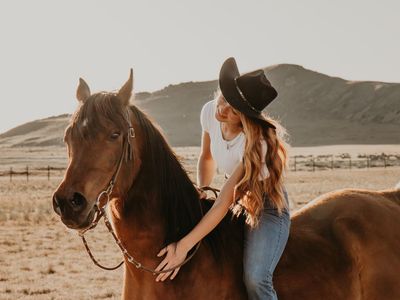 Gelding Horse