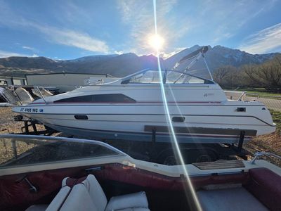 Boat Cruiser