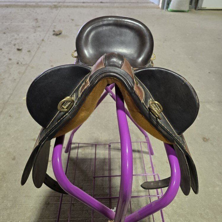 Australian saddle kids